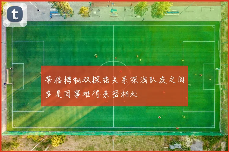 蒂格揭秘双探花关系深浅队友之间多是同事难得亲密相处