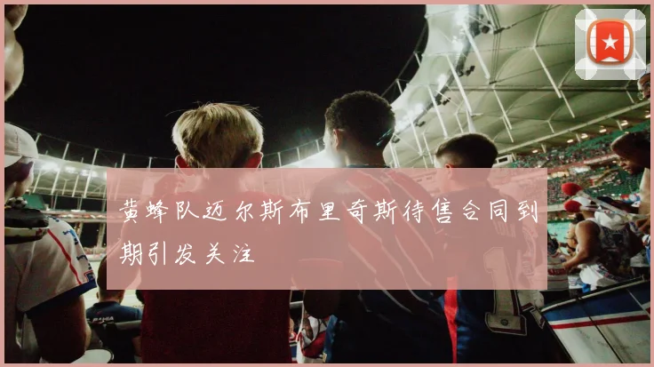黄蜂队迈尔斯布里奇斯待售合同到期引发关注